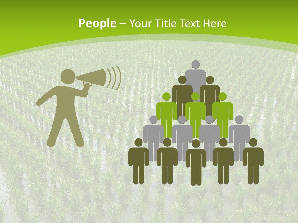 Rows Lush Earth PowerPoint Template