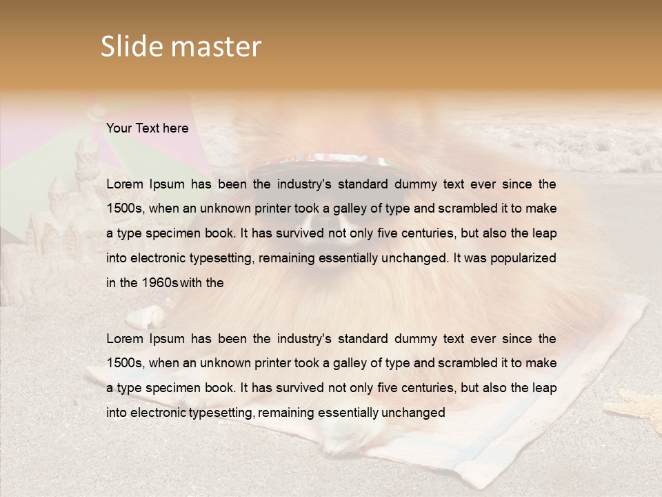 Summer Pomeranian Dog PowerPoint Template