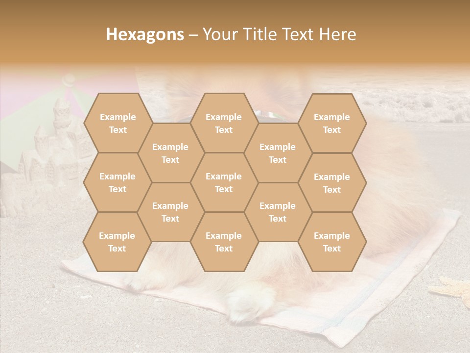 Summer Pomeranian Dog PowerPoint Template