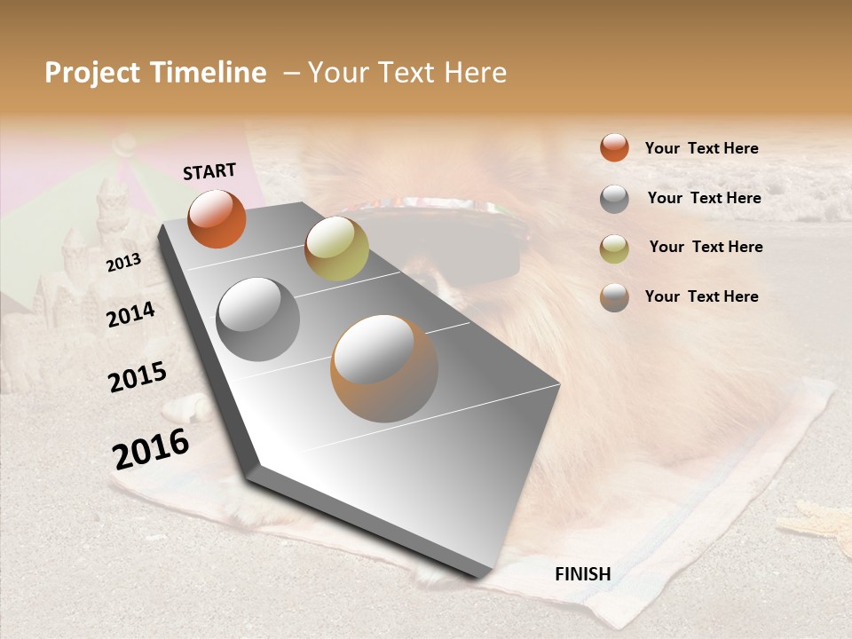 Summer Pomeranian Dog PowerPoint Template