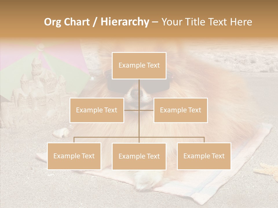 Summer Pomeranian Dog PowerPoint Template