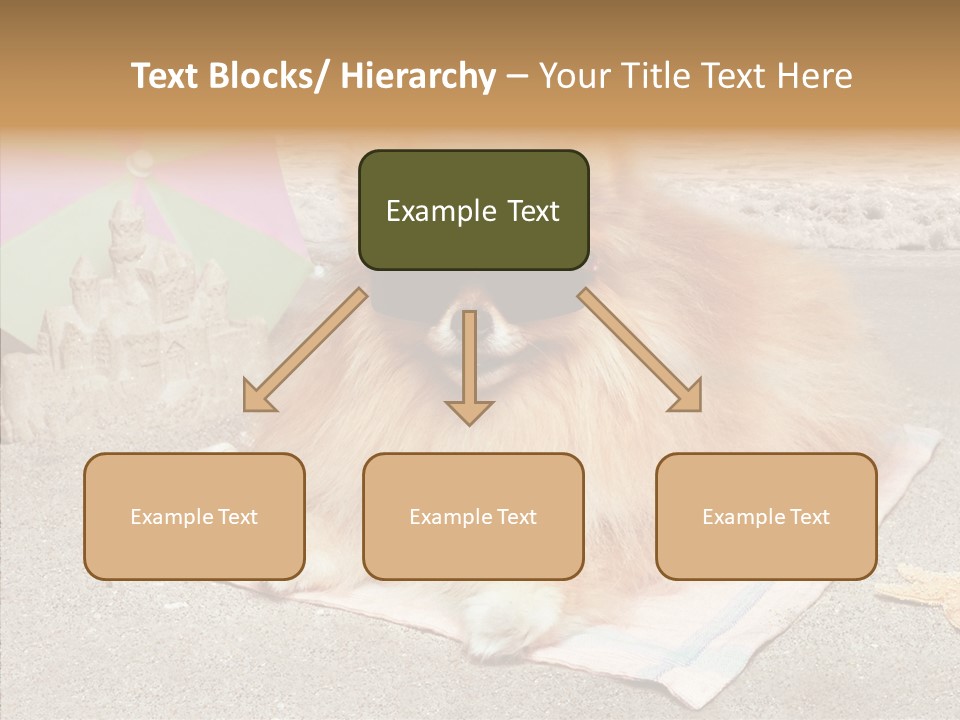 Summer Pomeranian Dog PowerPoint Template