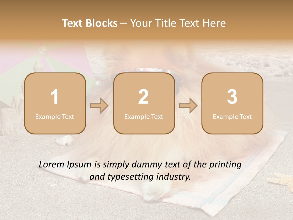 Summer Pomeranian Dog PowerPoint Template