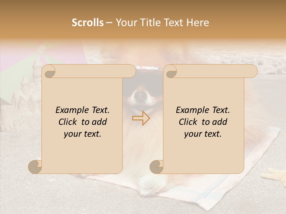 Summer Pomeranian Dog PowerPoint Template