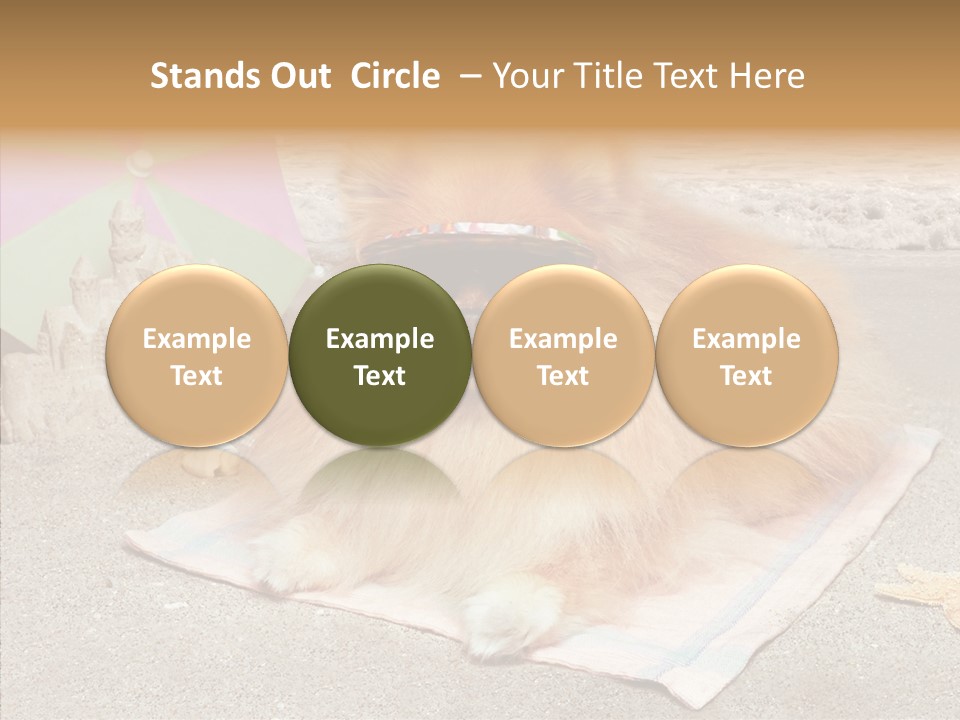 Summer Pomeranian Dog PowerPoint Template