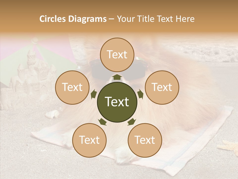 Summer Pomeranian Dog PowerPoint Template