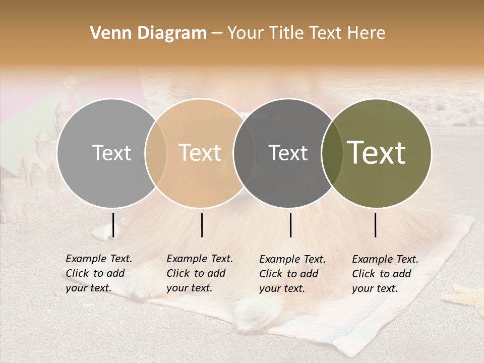 Summer Pomeranian Dog PowerPoint Template