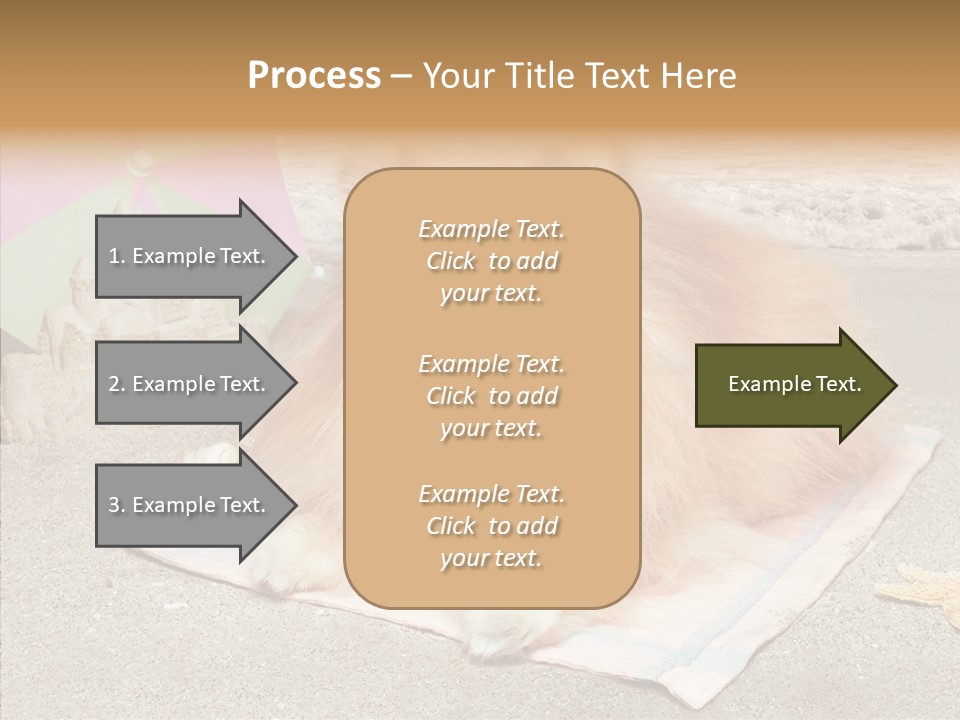 Summer Pomeranian Dog PowerPoint Template