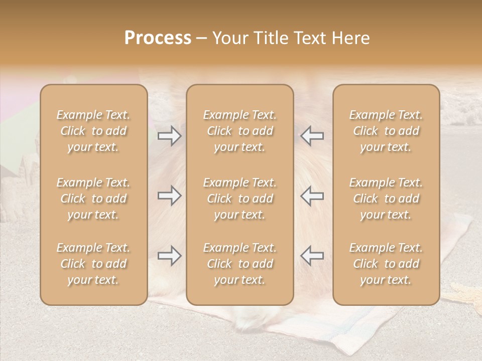 Summer Pomeranian Dog PowerPoint Template