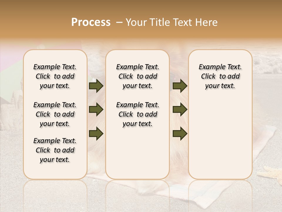 Summer Pomeranian Dog PowerPoint Template