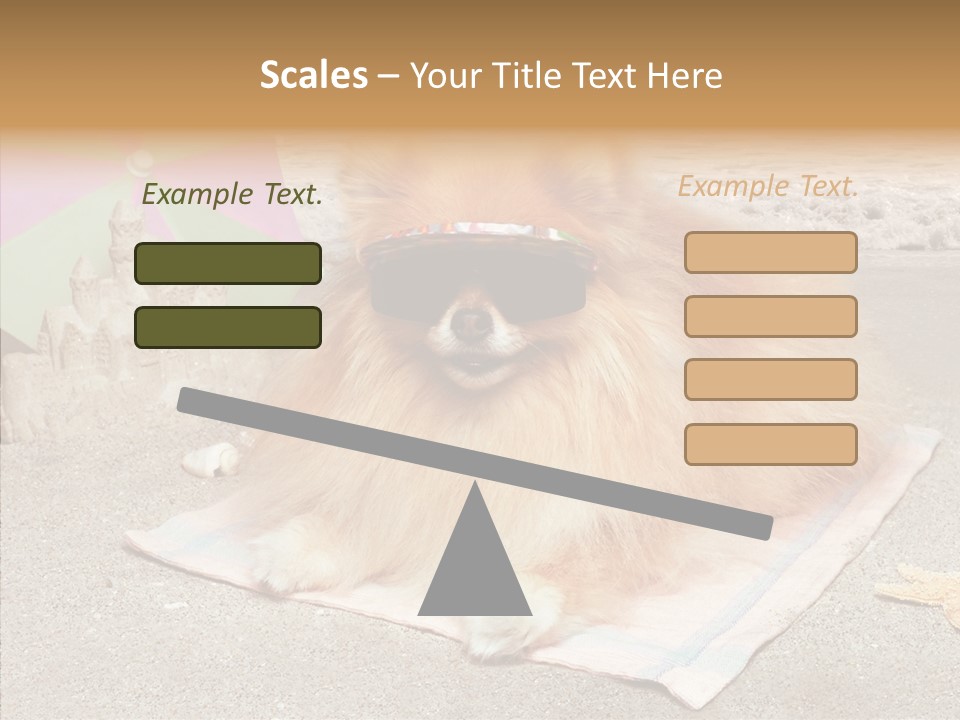 Summer Pomeranian Dog PowerPoint Template