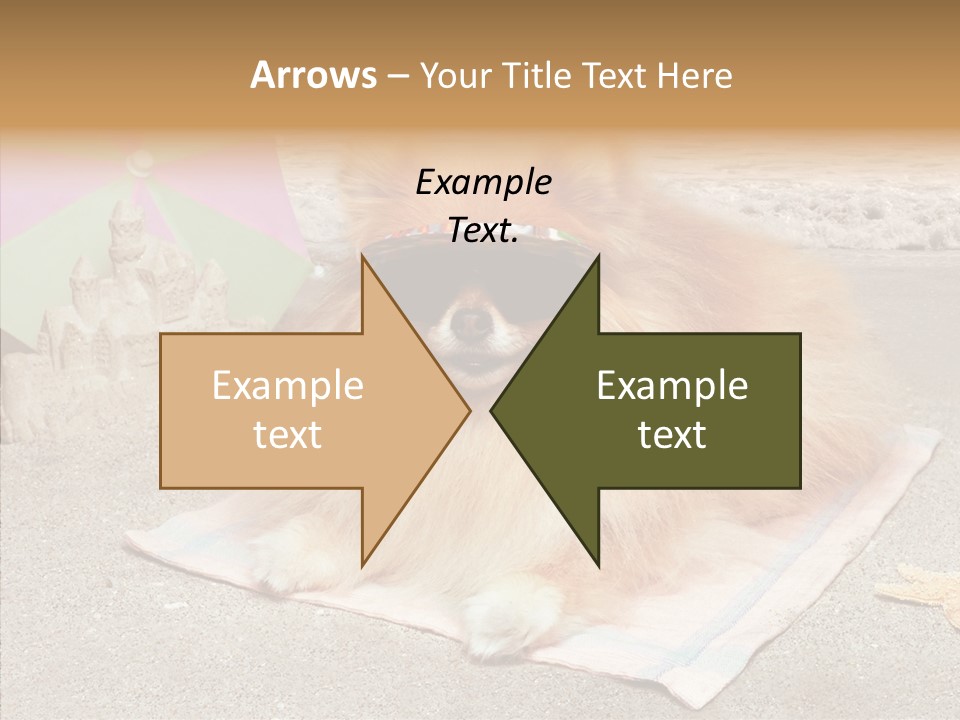 Summer Pomeranian Dog PowerPoint Template