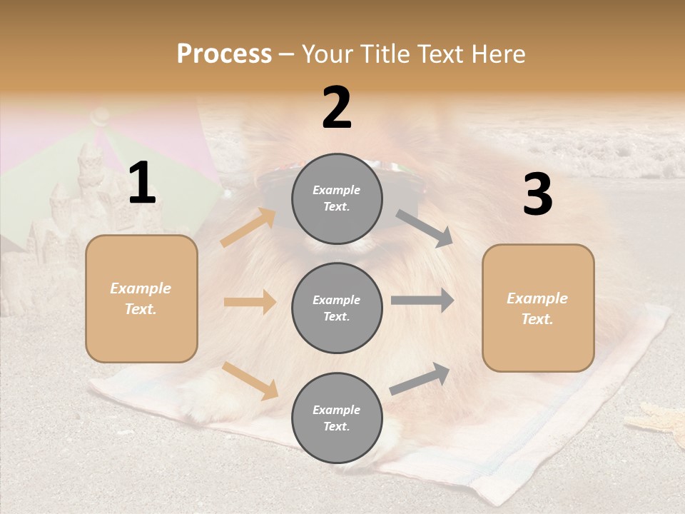 Summer Pomeranian Dog PowerPoint Template