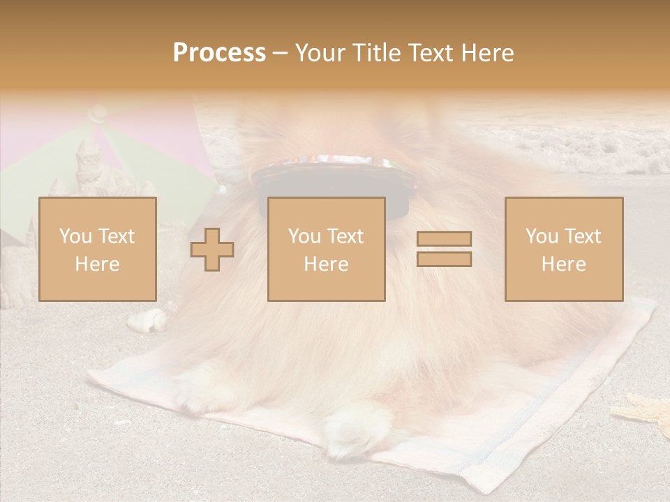 Summer Pomeranian Dog PowerPoint Template