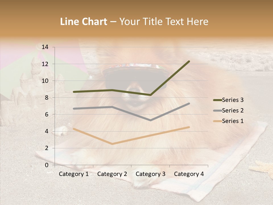 Summer Pomeranian Dog PowerPoint Template