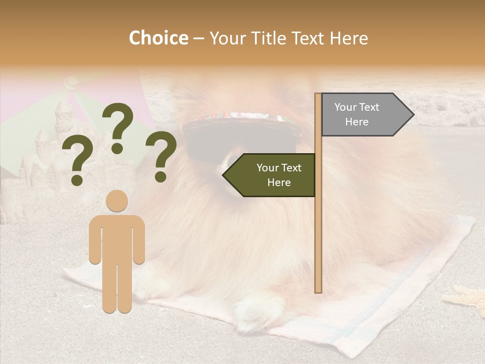 Summer Pomeranian Dog PowerPoint Template