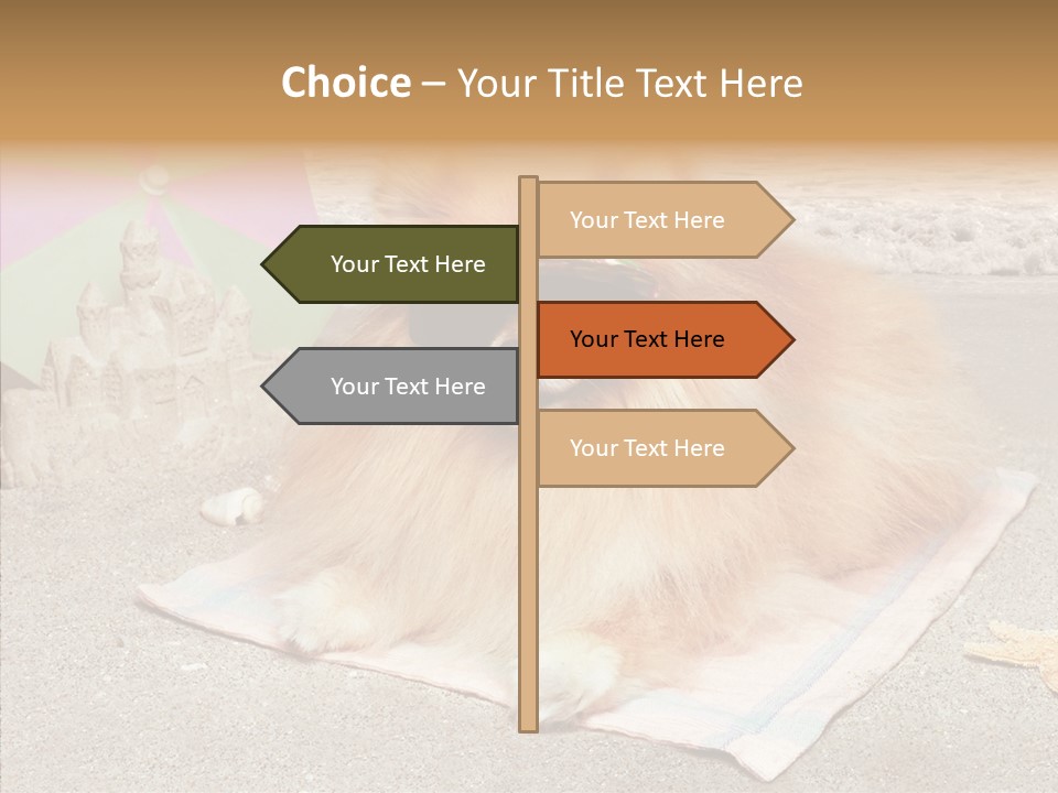 Summer Pomeranian Dog PowerPoint Template