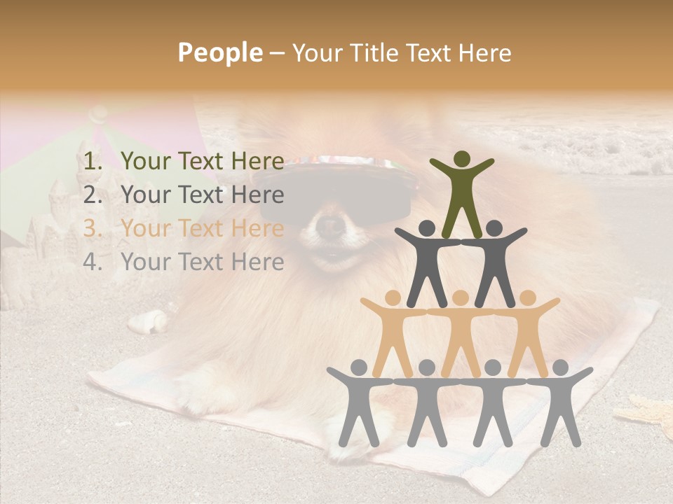 Summer Pomeranian Dog PowerPoint Template