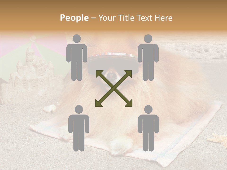 Summer Pomeranian Dog PowerPoint Template