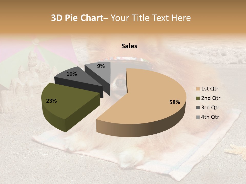 Summer Pomeranian Dog PowerPoint Template