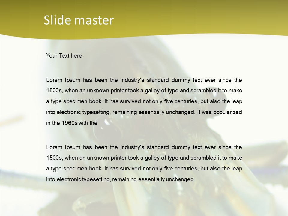 Tasty Delicious Meal PowerPoint Template