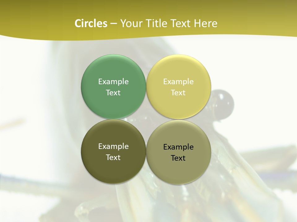 Tasty Delicious Meal PowerPoint Template