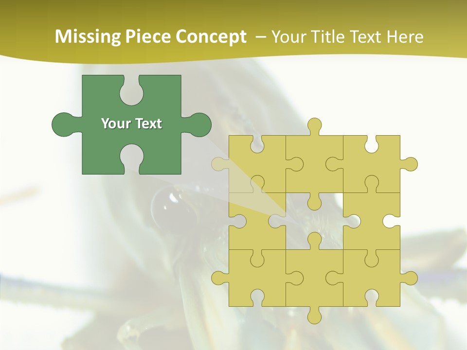 Tasty Delicious Meal PowerPoint Template