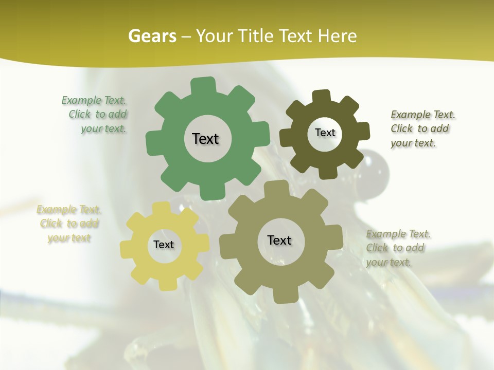 Tasty Delicious Meal PowerPoint Template