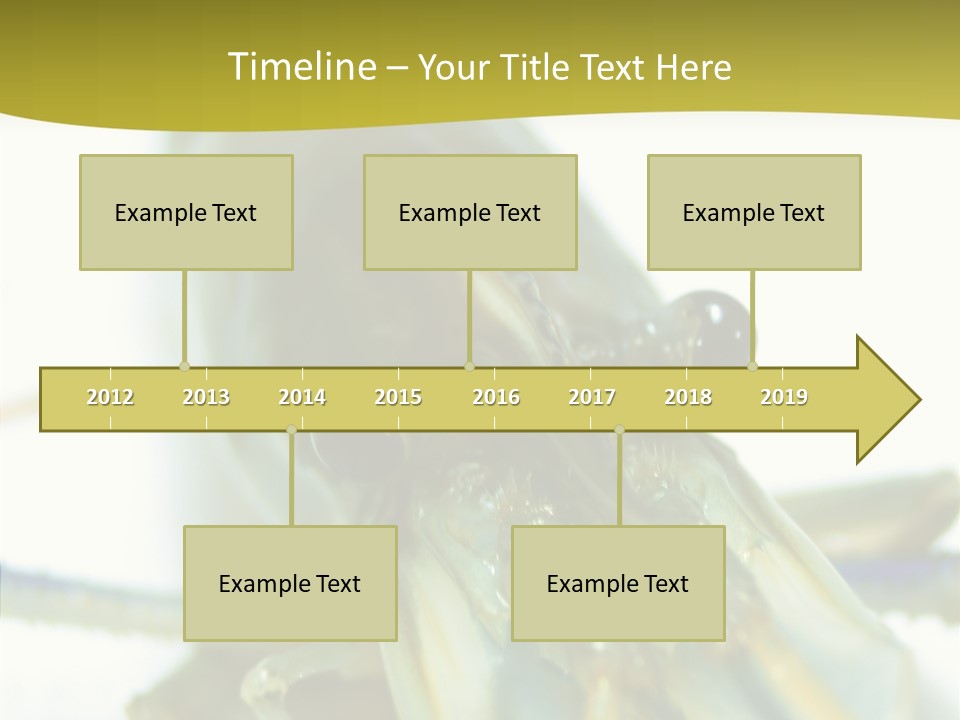 Tasty Delicious Meal PowerPoint Template