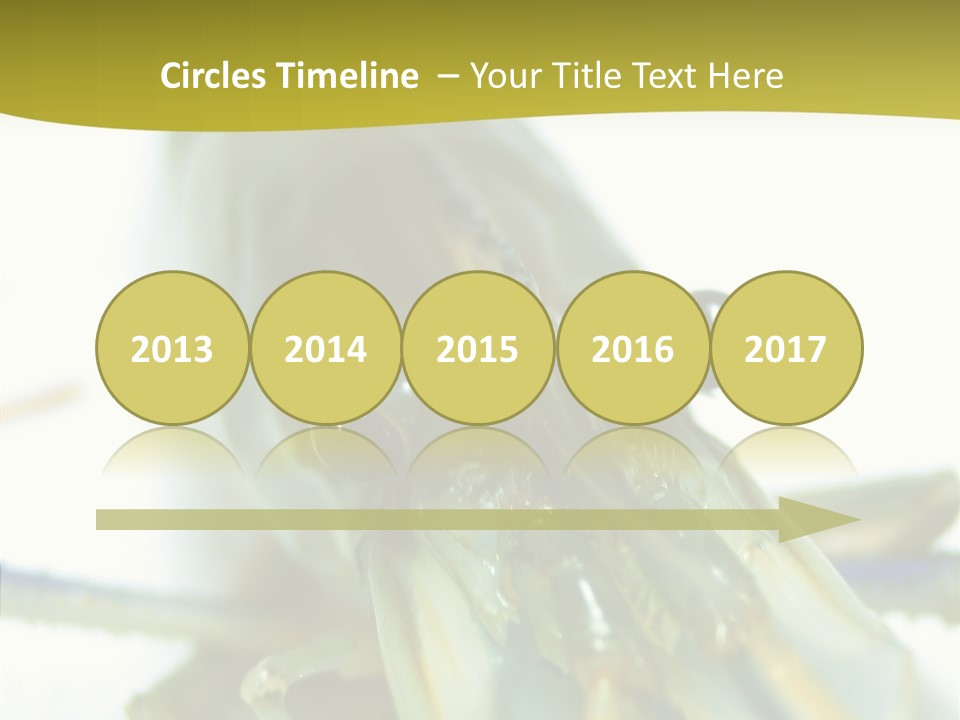 Tasty Delicious Meal PowerPoint Template