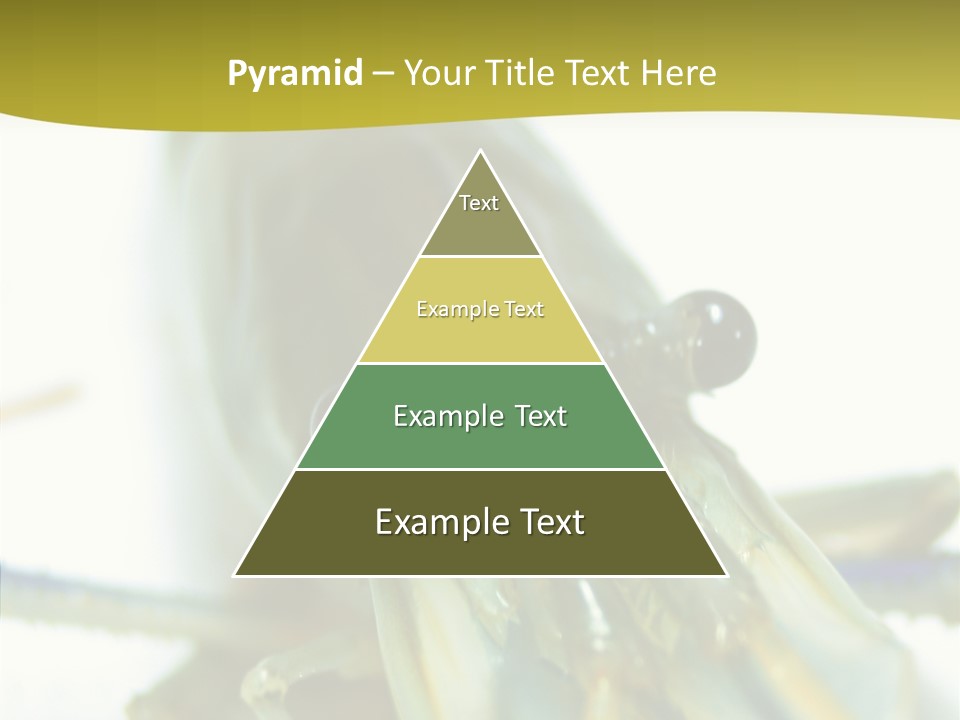 Tasty Delicious Meal PowerPoint Template