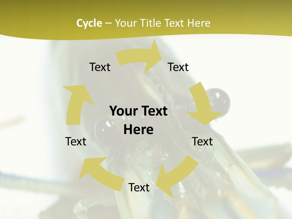 Tasty Delicious Meal PowerPoint Template