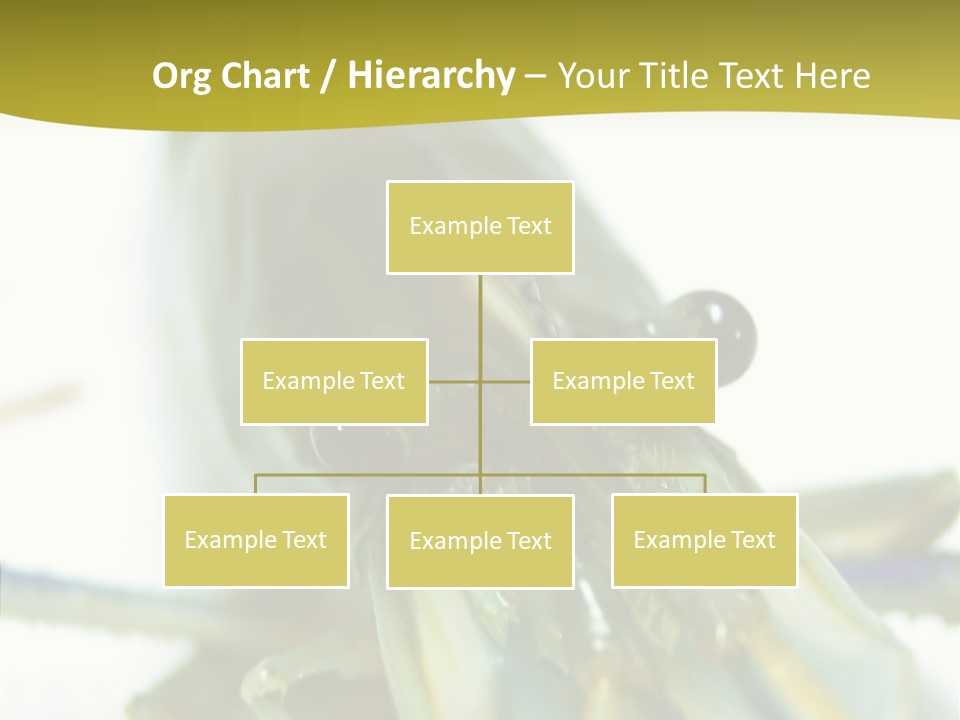 Tasty Delicious Meal PowerPoint Template