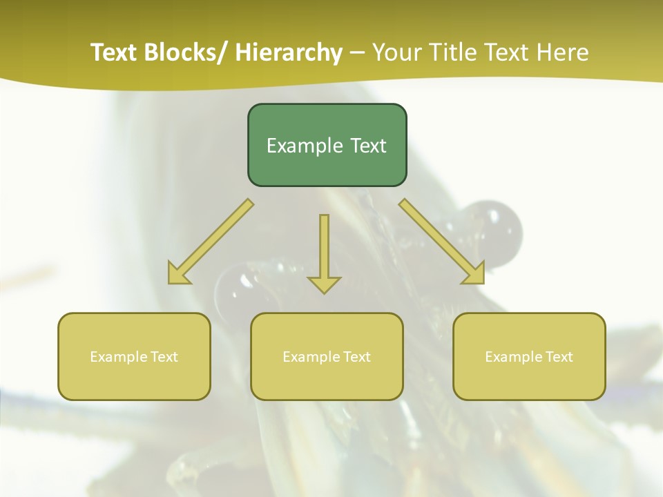 Tasty Delicious Meal PowerPoint Template