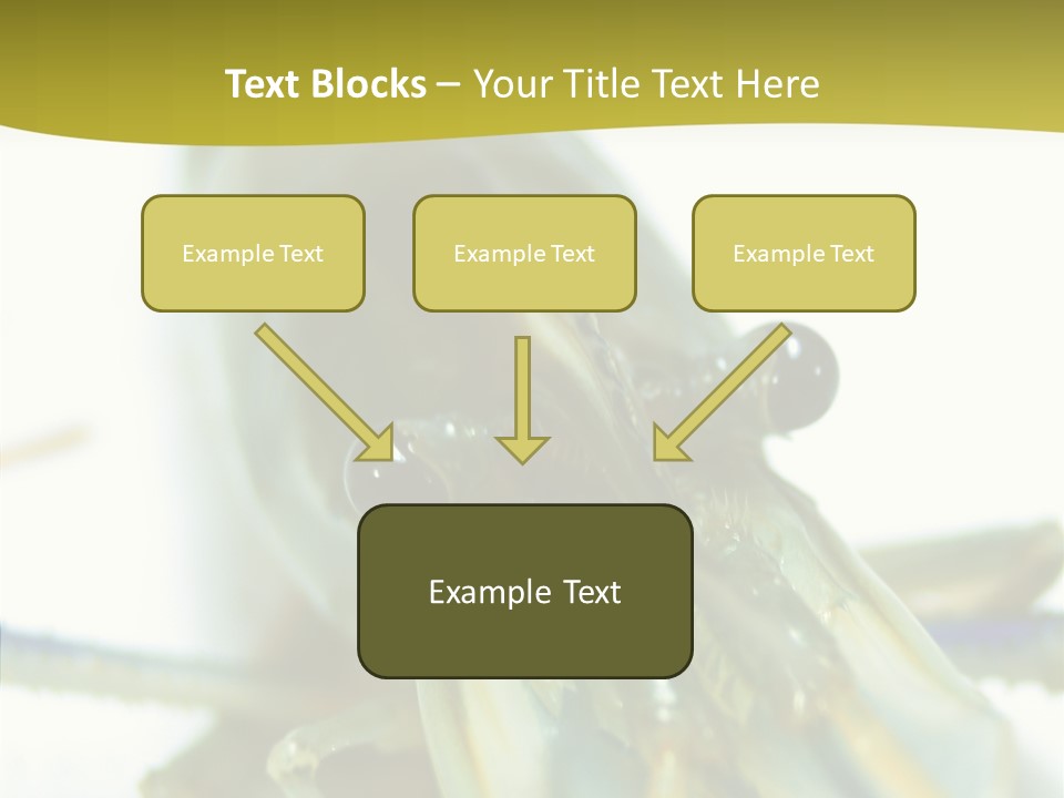 Tasty Delicious Meal PowerPoint Template