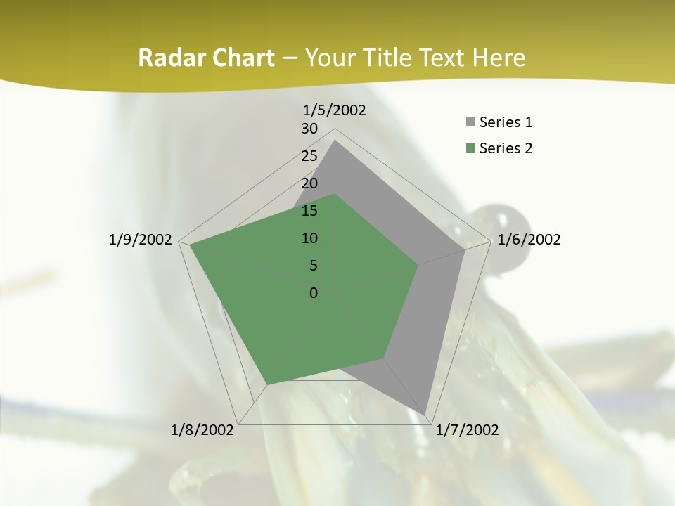 Tasty Delicious Meal PowerPoint Template