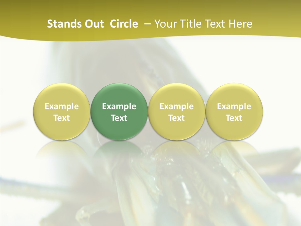 Tasty Delicious Meal PowerPoint Template