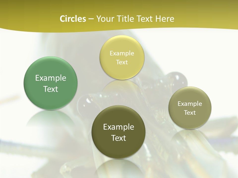 Tasty Delicious Meal PowerPoint Template