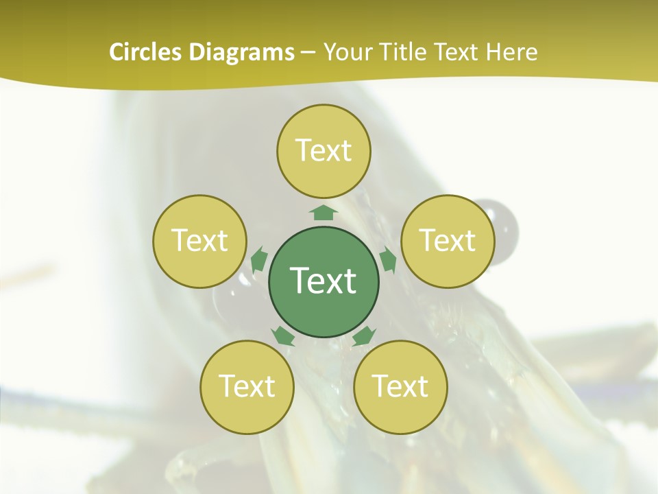 Tasty Delicious Meal PowerPoint Template