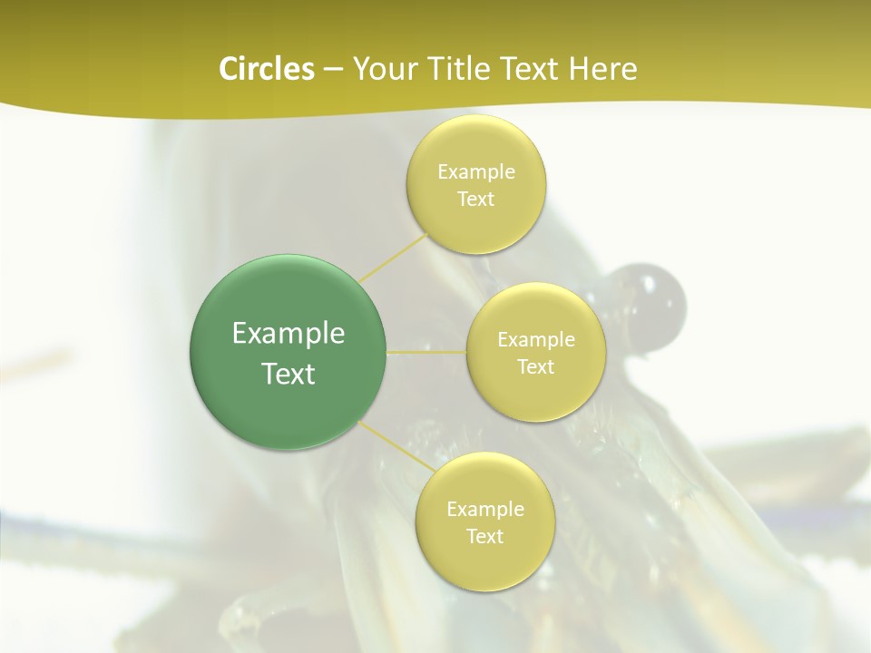 Tasty Delicious Meal PowerPoint Template