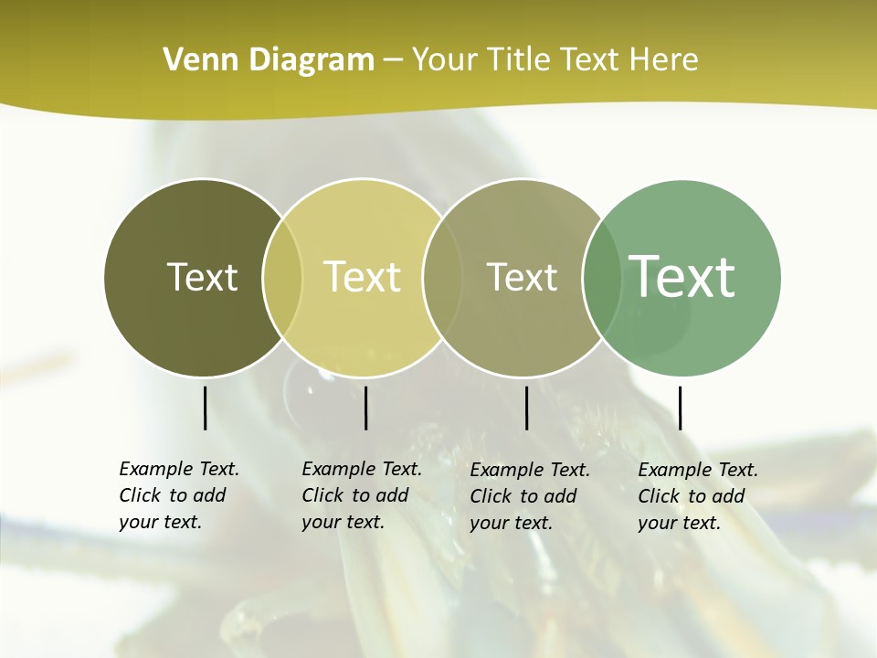 Tasty Delicious Meal PowerPoint Template