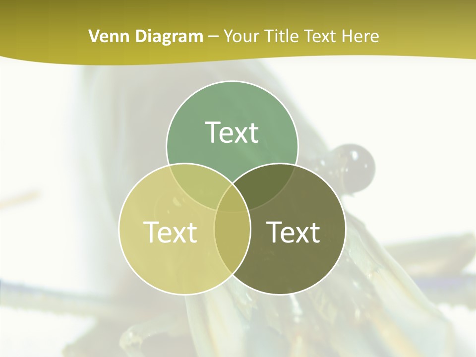 Tasty Delicious Meal PowerPoint Template