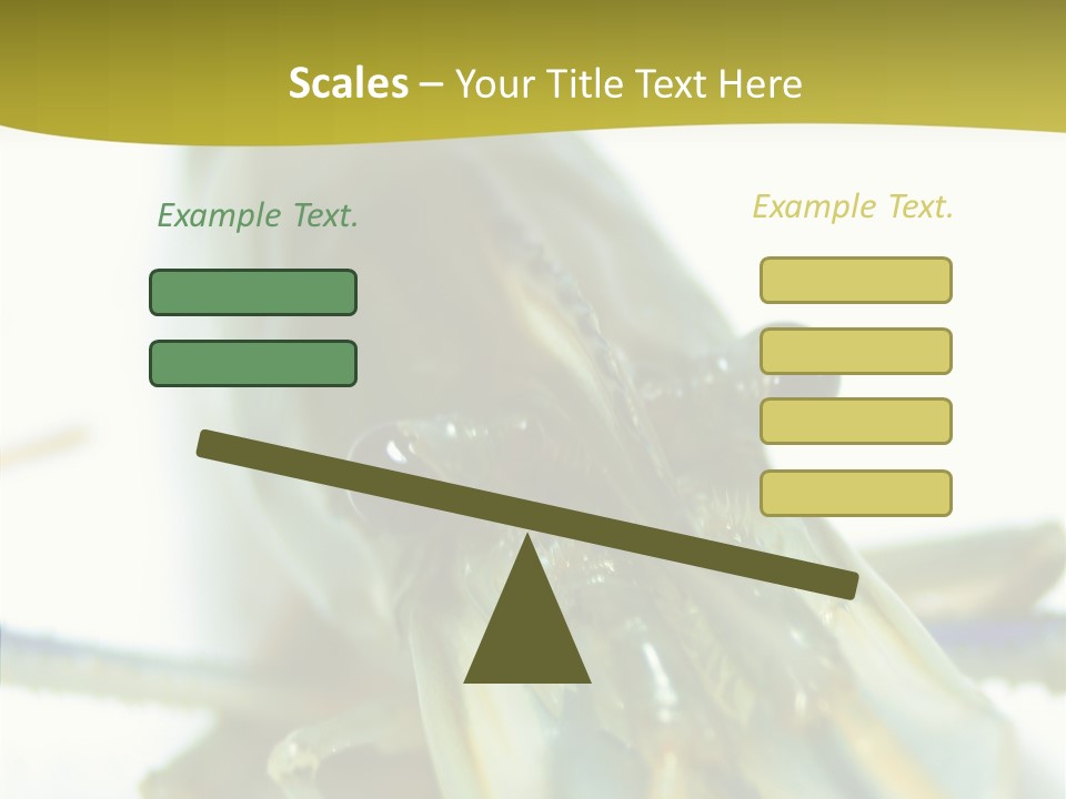 Tasty Delicious Meal PowerPoint Template
