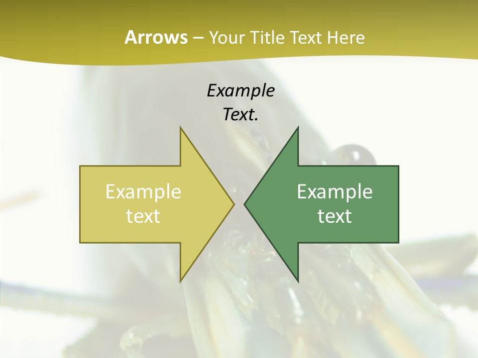 Tasty Delicious Meal PowerPoint Template