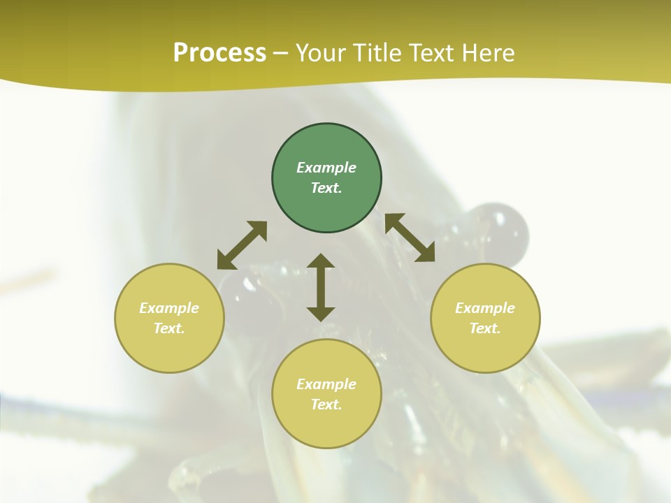 Tasty Delicious Meal PowerPoint Template