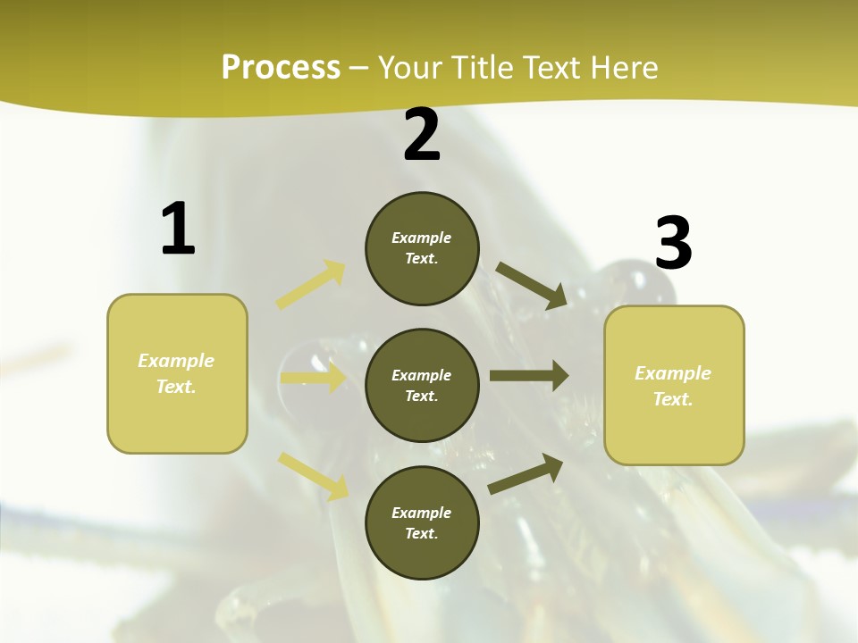 Tasty Delicious Meal PowerPoint Template