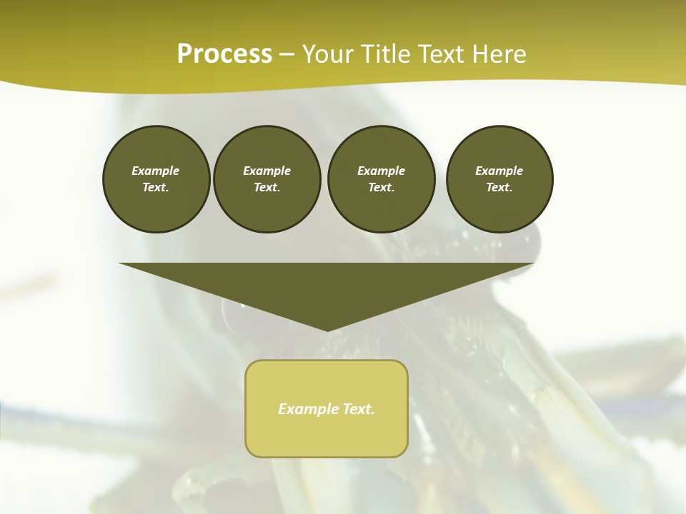 Tasty Delicious Meal PowerPoint Template