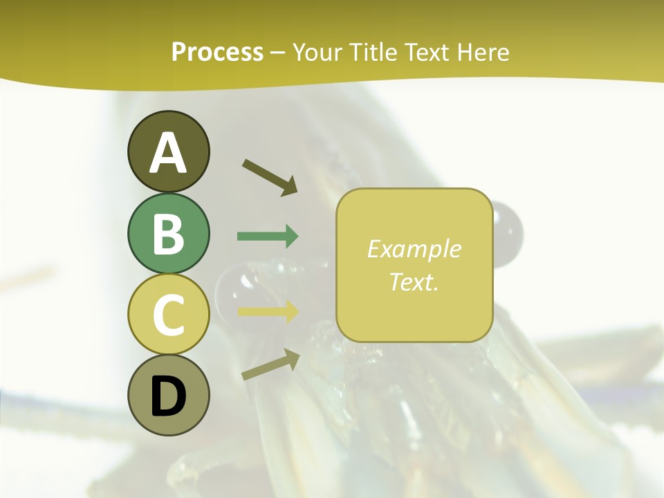 Tasty Delicious Meal PowerPoint Template