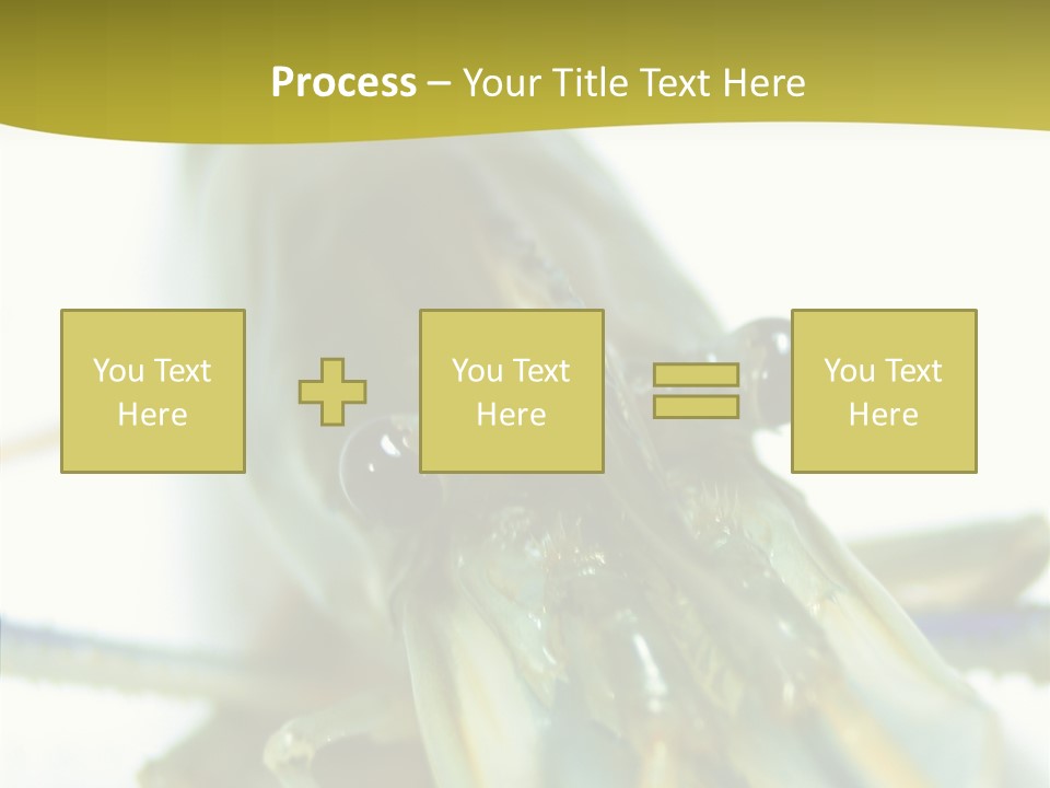 Tasty Delicious Meal PowerPoint Template
