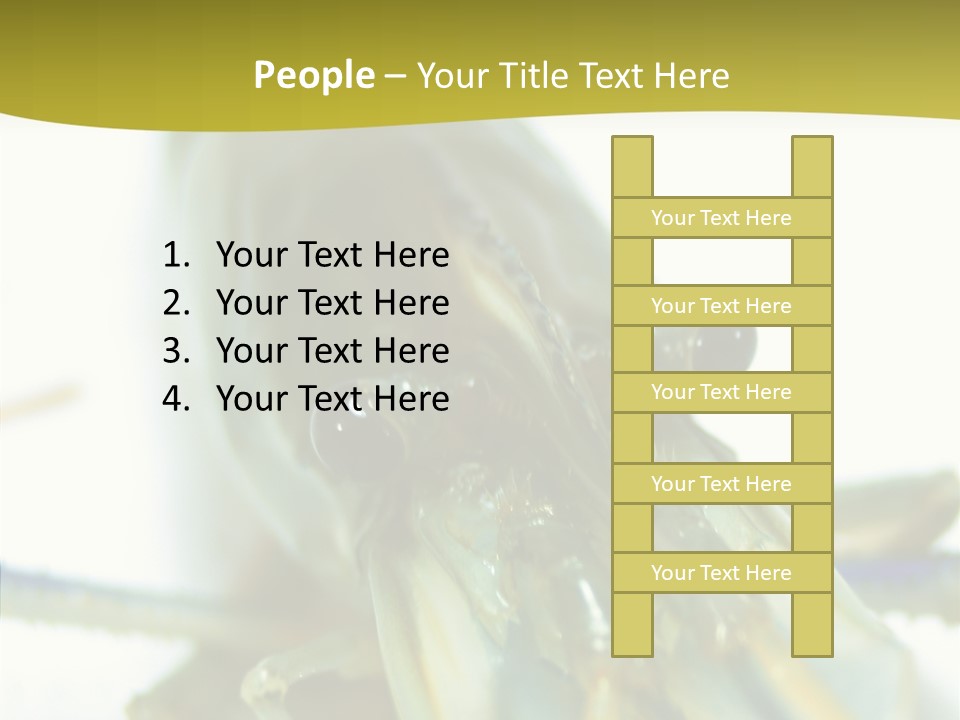 Tasty Delicious Meal PowerPoint Template